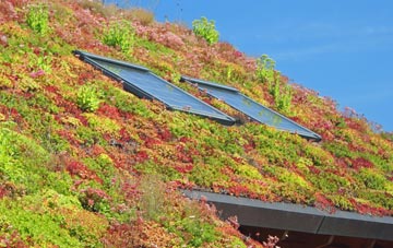 Chatter End living roof systems