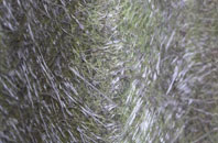 Chatter End fibreglass roof work